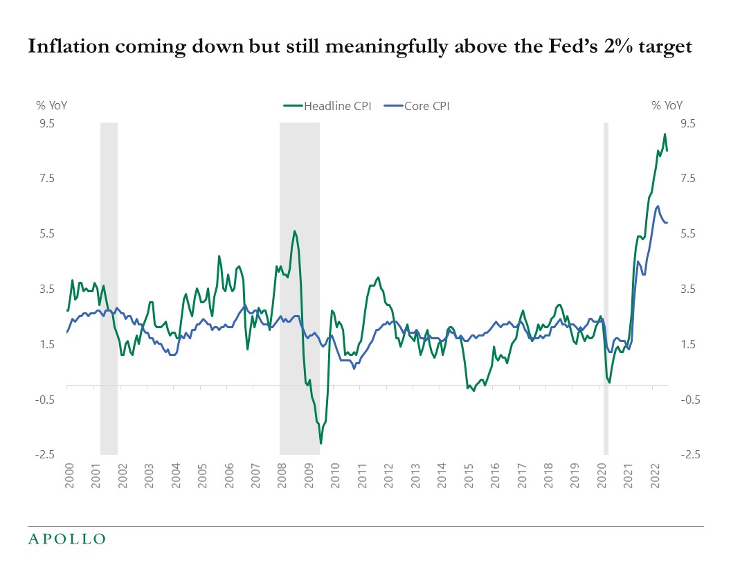 Too Early to Declare Victory Over Inflation - Apollo Academy