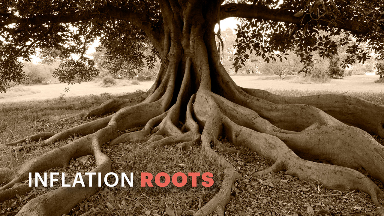 Inflation Roots