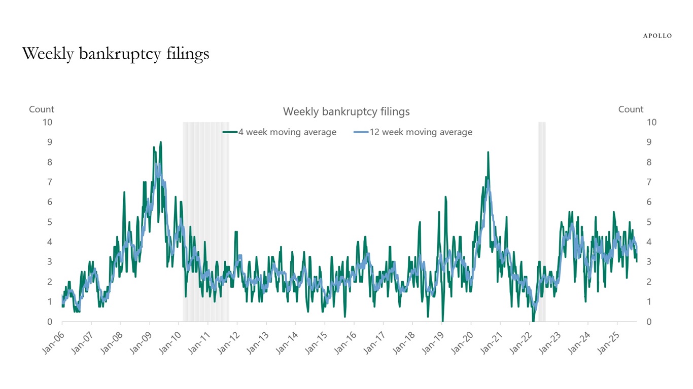 Weekly bankruptcy filings