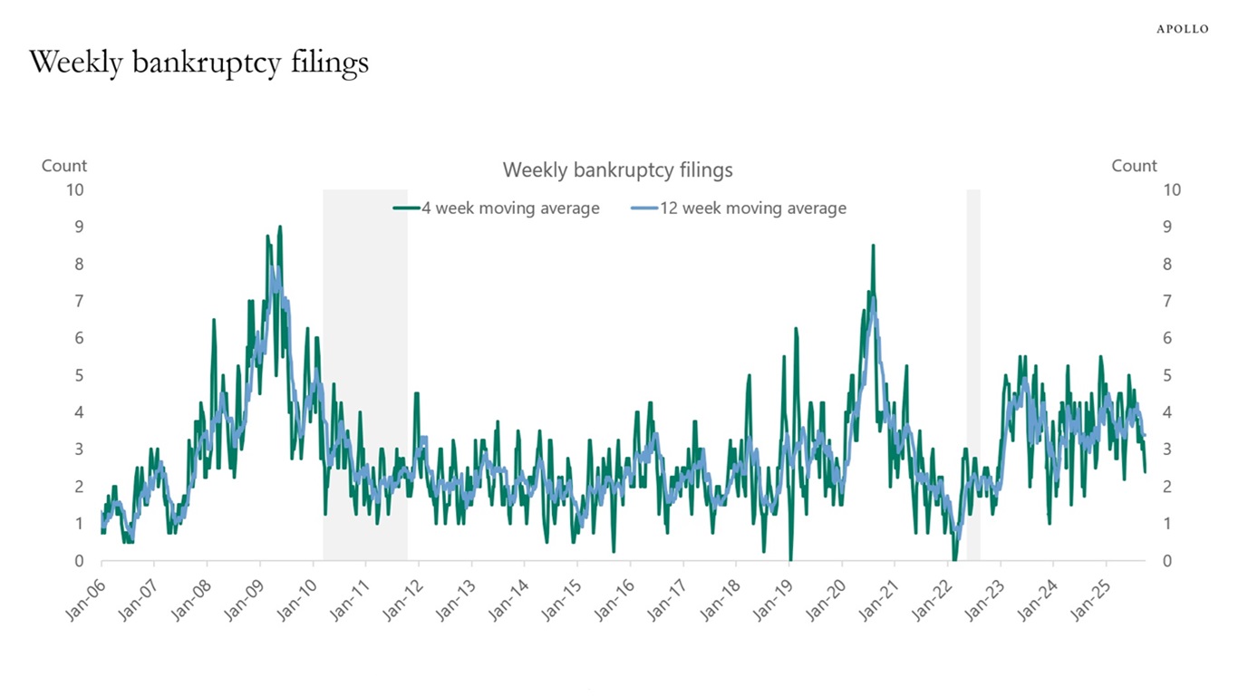 Weekly bankruptcy filings