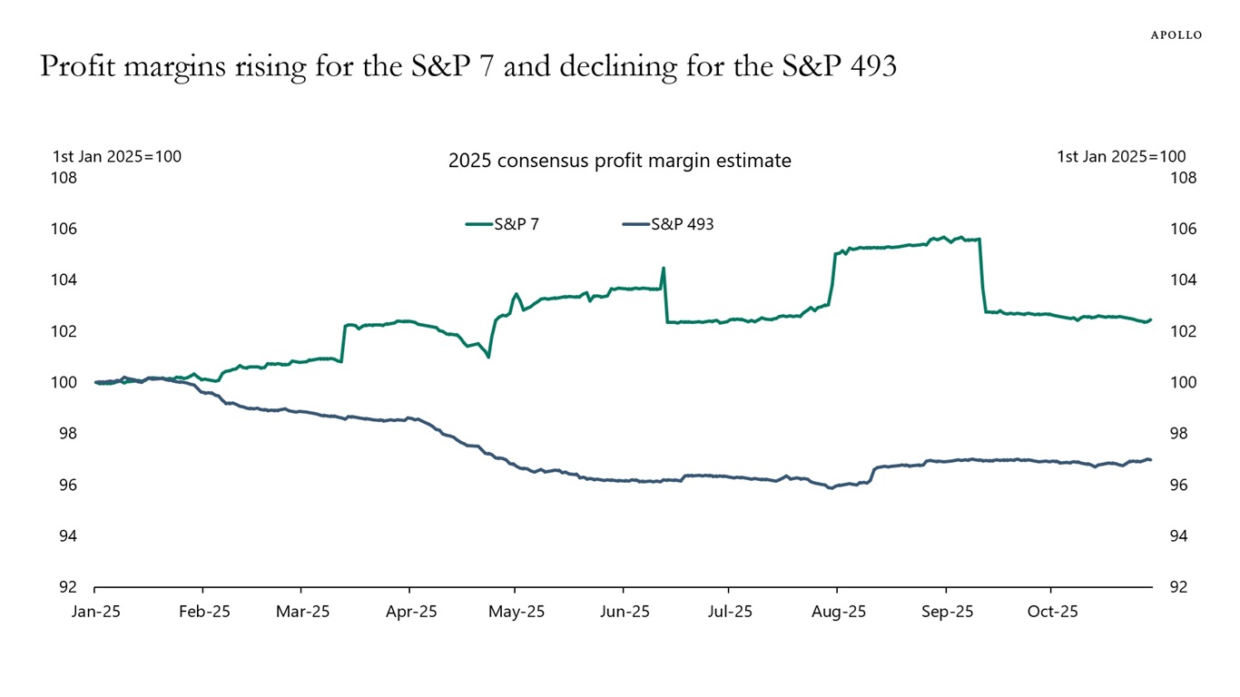 Profit margins rising for the S&P 7 and declining for the S&P 493