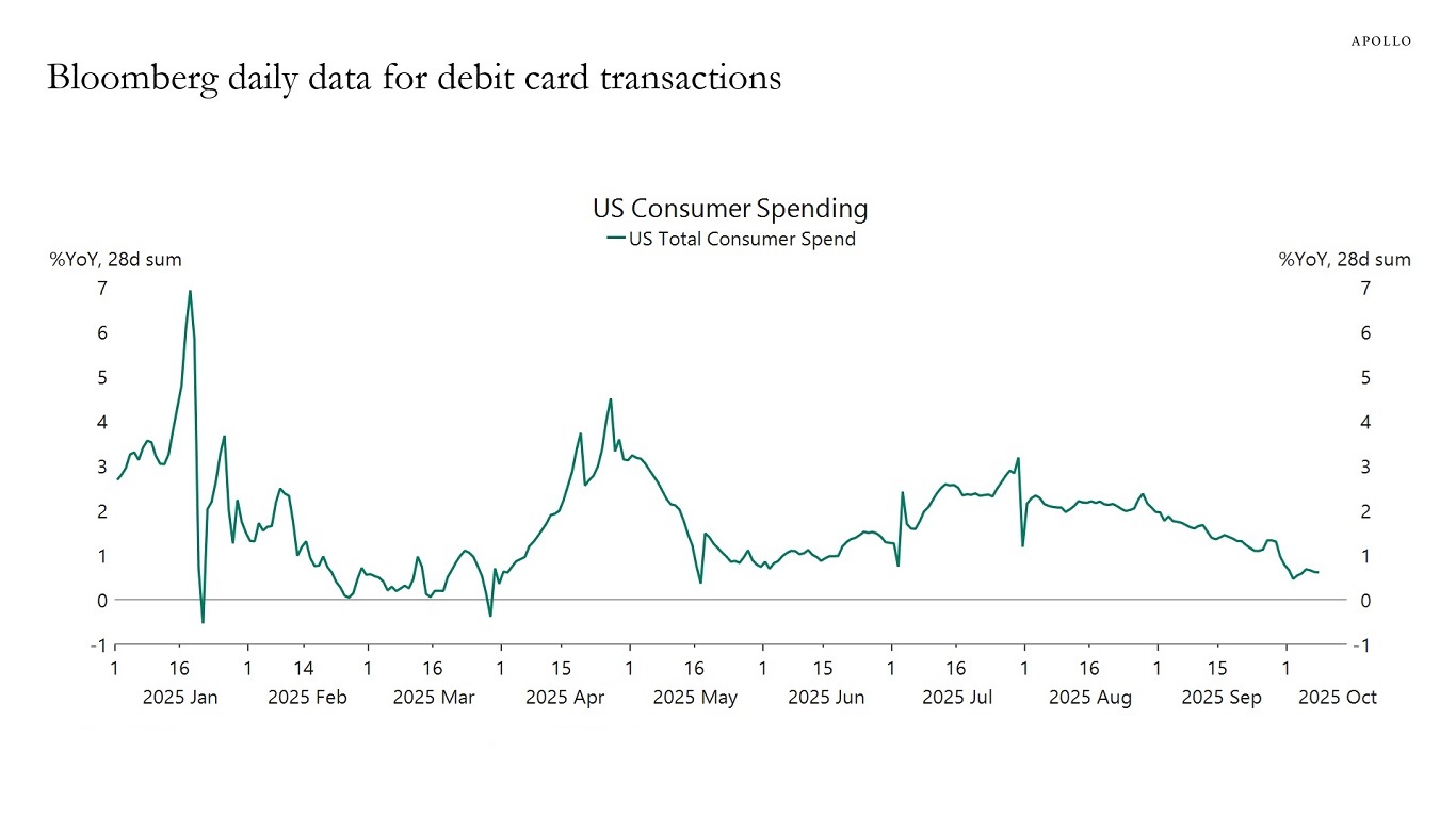Bloomberg daily data for debit card transactions