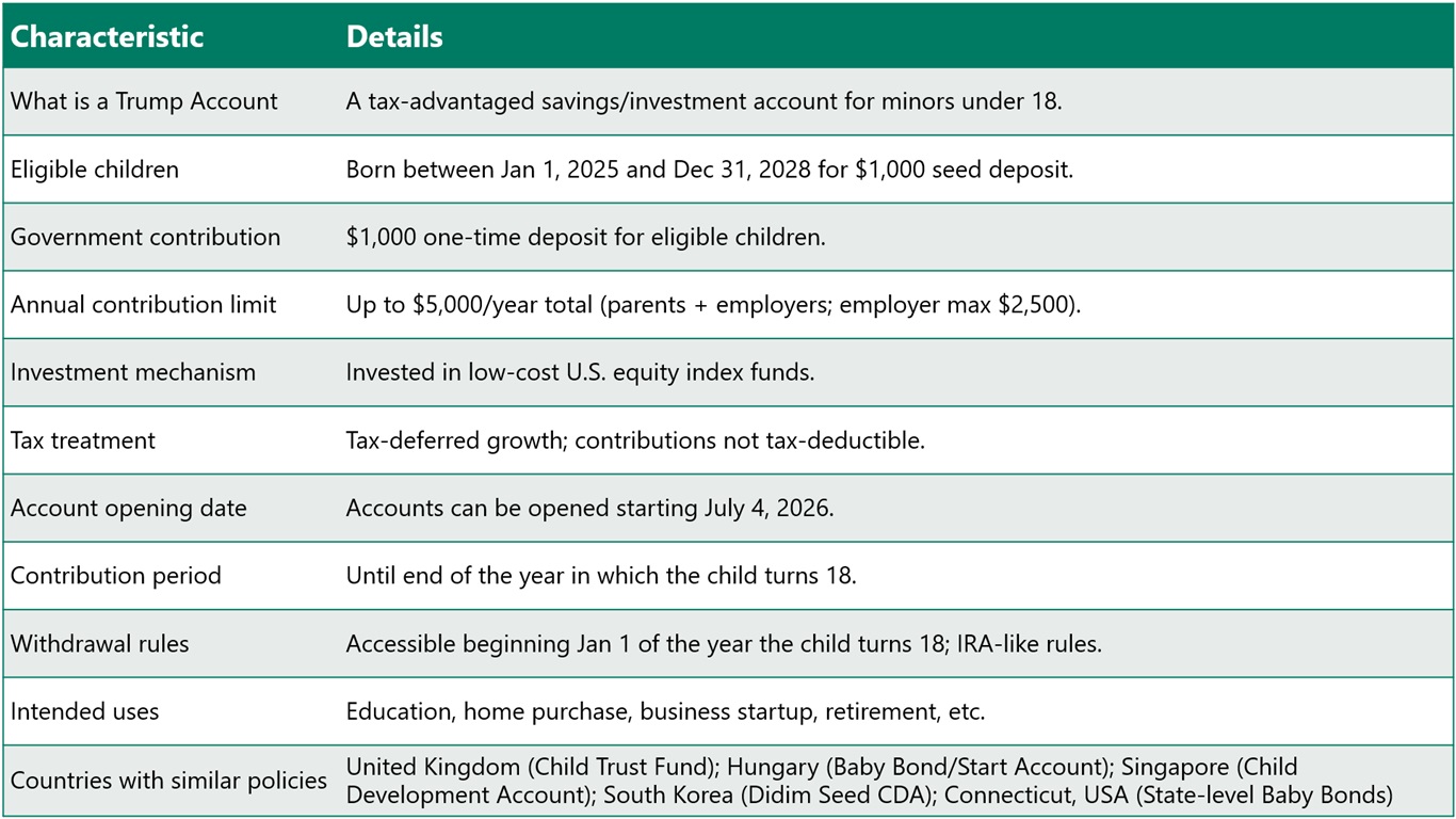 A Trump account: Overview